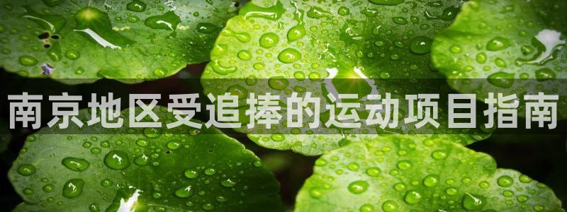 星欧娱乐公司电话号码查询