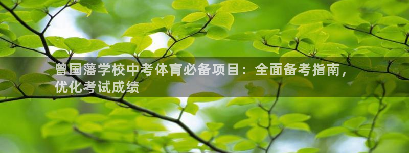 星欧娱乐扣款流程详解图片大全