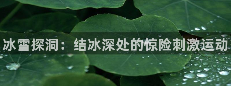 星欧娱乐和嫲薇他的区别是什么