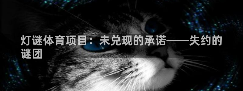 星欧娱乐雀V是什么平台