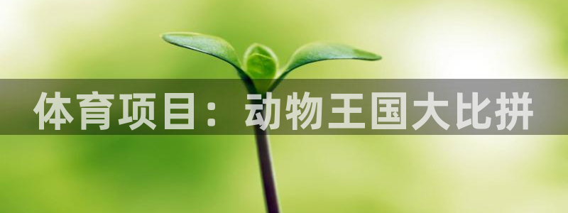 星欧娱乐联客服联系方式
