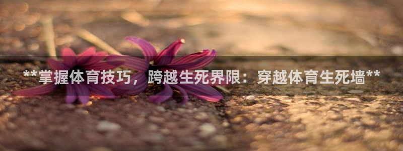 星奥娱乐集团股份有限公司招聘