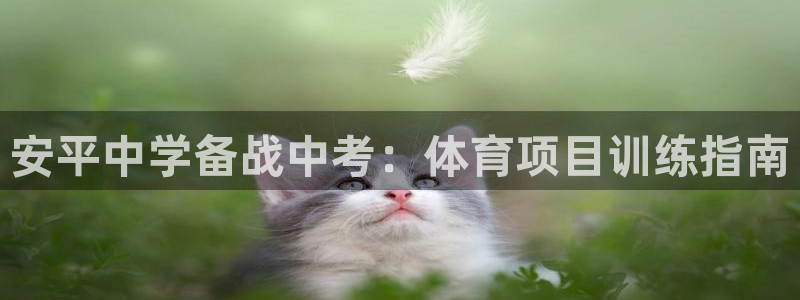 星欧娱乐官方客服联系方式电话