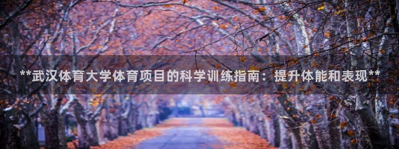 星乐娱乐官网