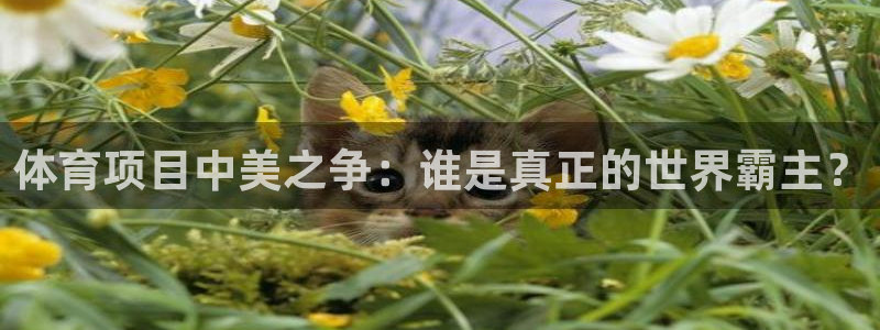 星欧娱乐载711.112使用教程详解