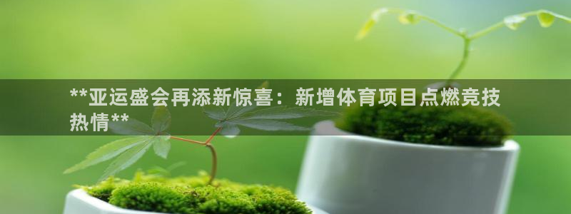 星欧娱乐公司简介