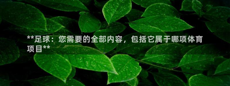 星欧娱乐扣款时间查询方法怎么查