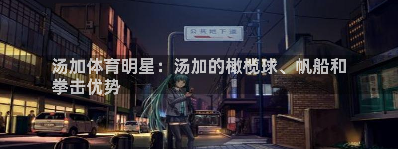 星欧娱乐总代.直开.中国