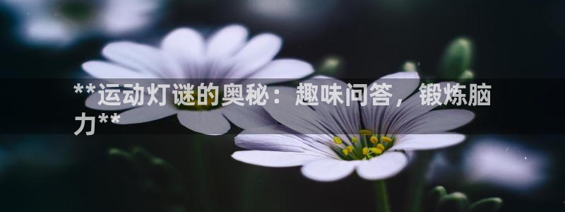 星欧娱乐的官方版本更新内容是什么