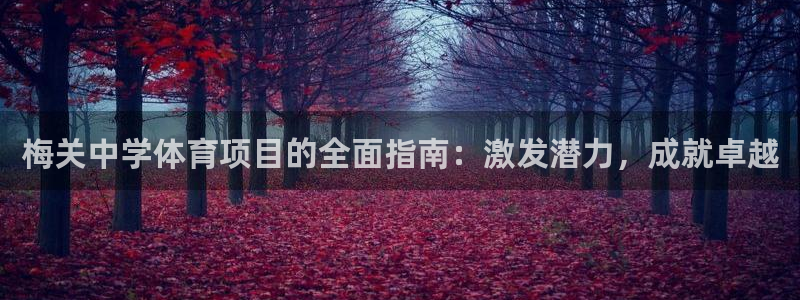 星欧娱乐平台测速线路设置