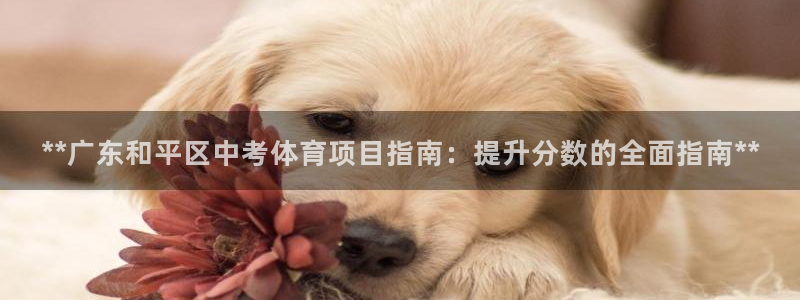 星奥娱乐集团股份有限公司招聘