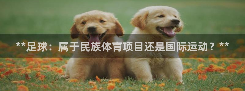 星奥娱乐集团股份有限公司怎么样