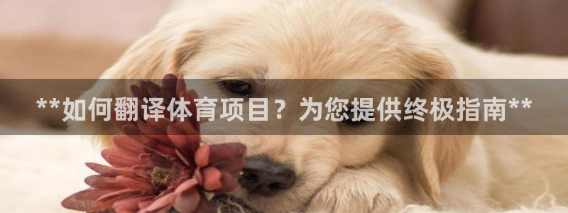 星欧娱乐平台怎么样啊知乎
