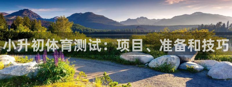 星欧娱乐扣款流程详解图片