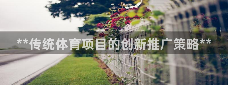 星游娱乐1官网下载