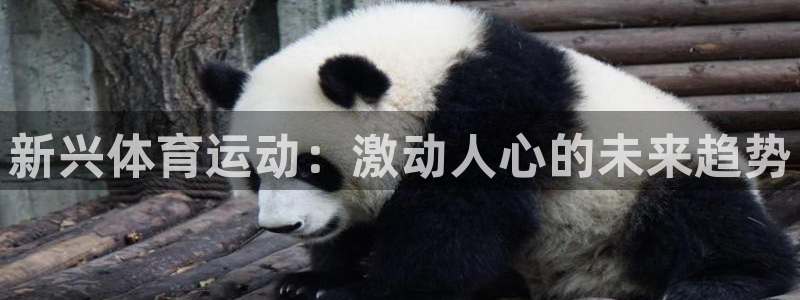 星欧娱乐的官方版本更新内容怎么删除