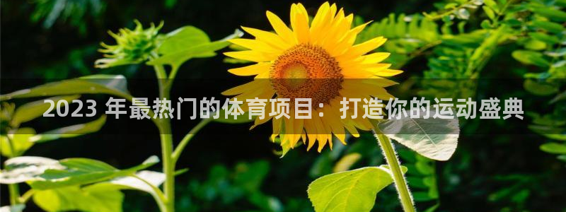 星欧娱乐官网首页入口