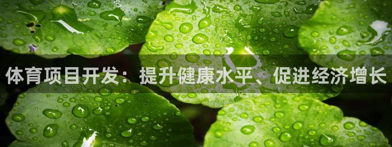 星欧娱乐扣款流程详解视频教程