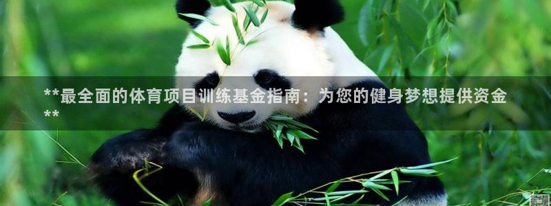 星欧娱乐联游戏评测