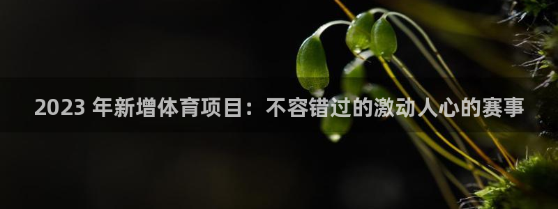 星欧娱乐扣款时间查询方法怎么查不到