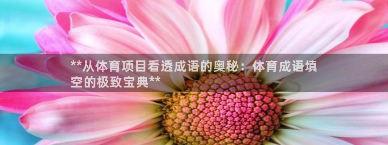 星欧娱乐退款流程详解