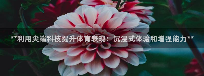 星奥娱乐艺人