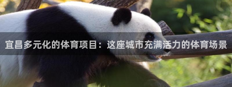 星澳娱乐公司简介
