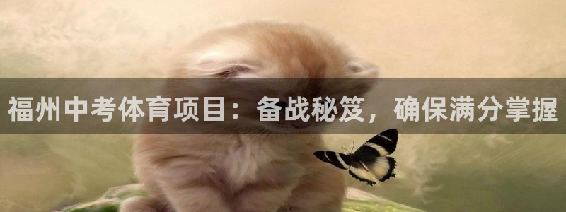 星欧娱乐挂机教程下载