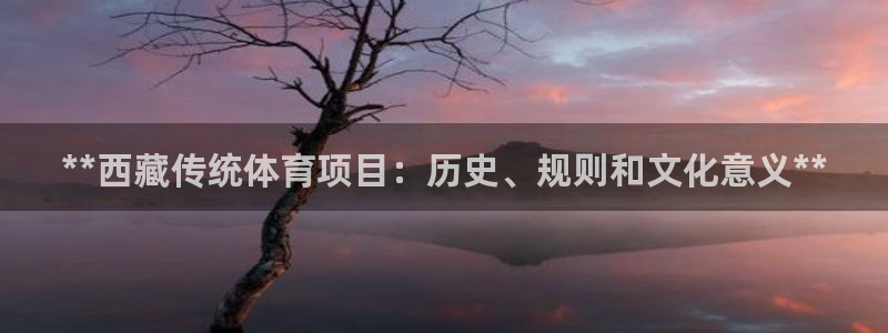 星欧娱乐测速软件下载