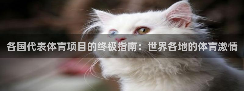 星欧娱乐官网首页入口