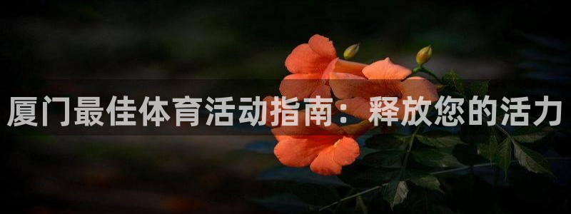 星欧娱乐联最新功能介绍