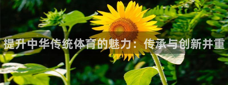 星澳娱乐公司怎么样