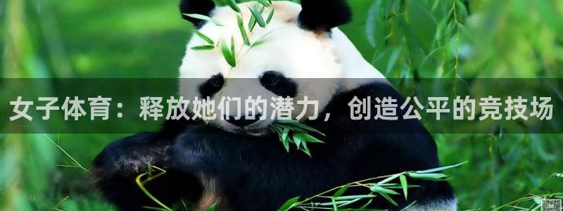 星欧娱乐平台怎么样知乎赚钱吗