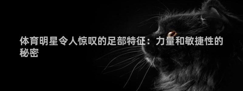 星娱乐online音乐