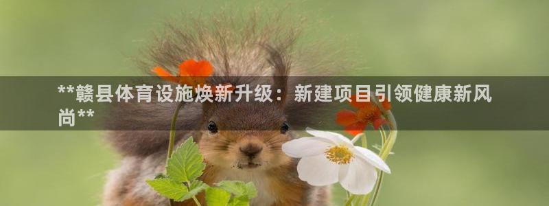 星奥娱乐集团怎么样