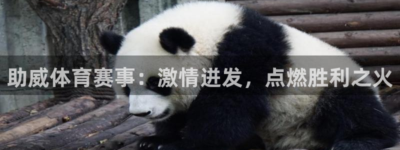 星欧娱乐公司电话号码多少