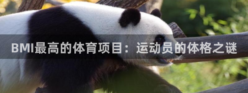 星娱乐文化传媒有限公司