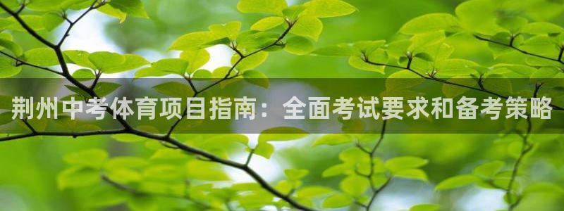 星欧娱乐官方客服联系方式是什么