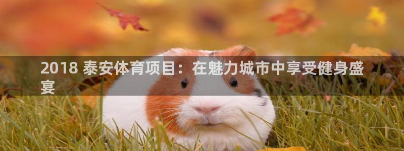 星澳娱乐公司