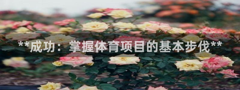 星欧娱乐官方客服联系方式是什么