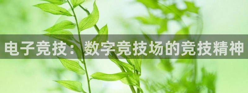 星欧娱乐测速