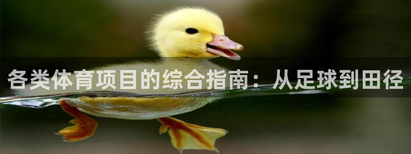 星欧娱乐总代.直开.中国