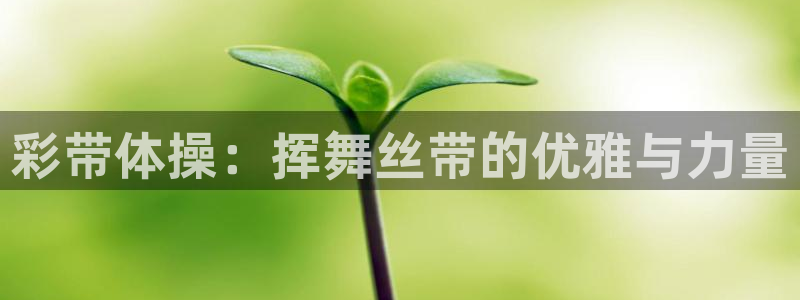 星欧娱乐v8.0.3最新版本更新内容介绍
