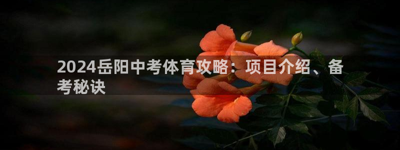 星欧娱乐扣款时间查询方法是什么