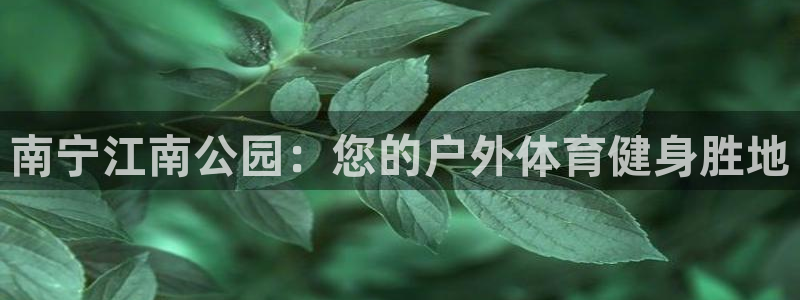星欧娱乐挂机赚钱是真的吗