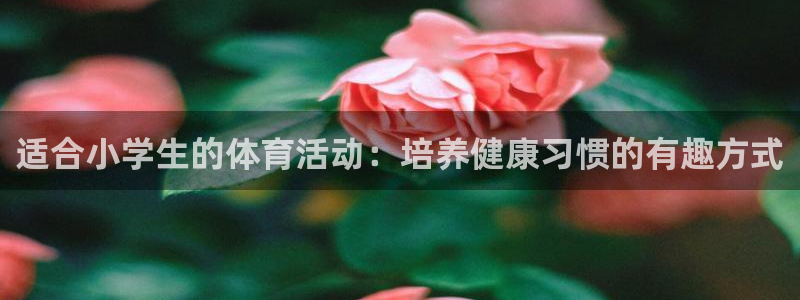 星欧娱乐24小时客服电话
