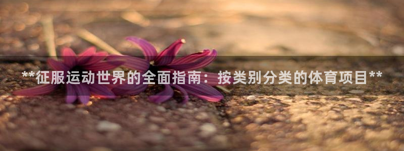 星欧娱乐平台测速线路