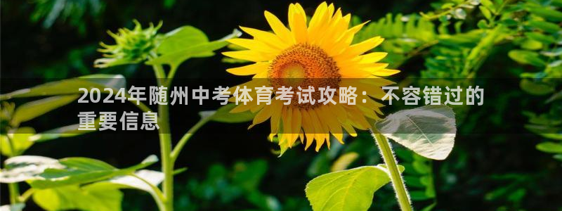 星欧娱乐扣款时间查询方法是什么呢