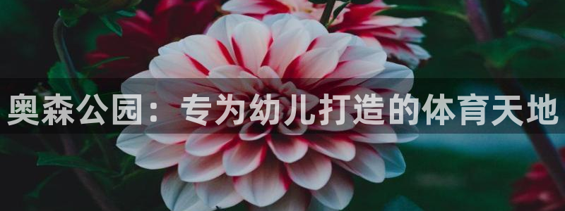 星欧娱乐的官方版本更新内容有哪些