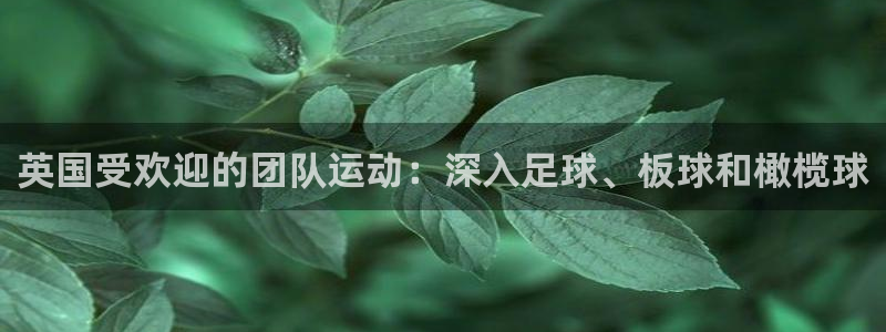 星欧娱乐总代.直开.中国